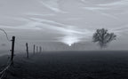 On a misty morning in March Poster och Canvastavla