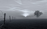 On a misty morning in March Poster och Canvastavla