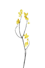 Flower Minimal Black and Gold 09 Poster och Canvastavla