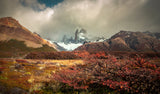 Autumn has arrived Poster och Canvastavla