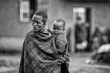 Nestled in Mother's arms Poster och Canvastavla