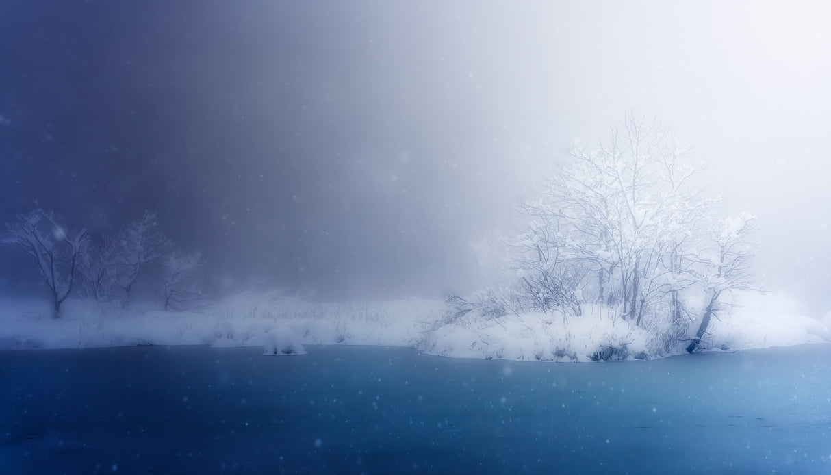 Beautiful Winter Poster och Canvastavla