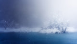 Beautiful Winter Poster och Canvastavla