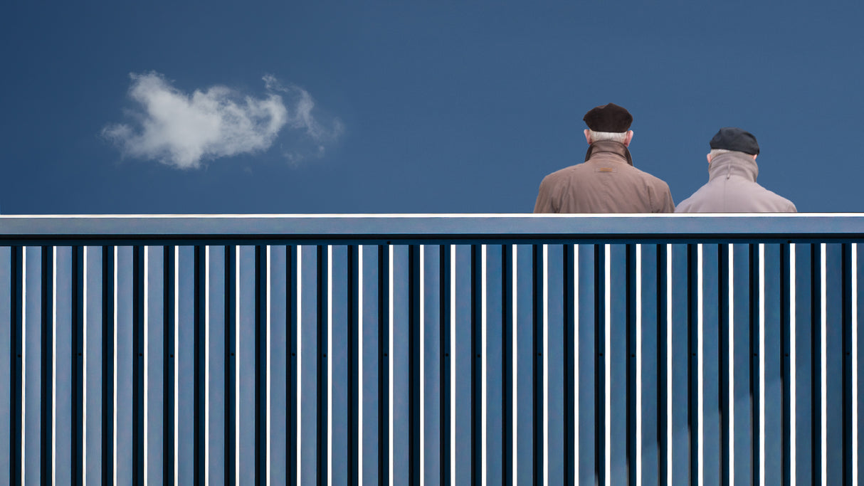 The fence Poster och Canvastavla