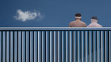 The fence Poster och Canvastavla