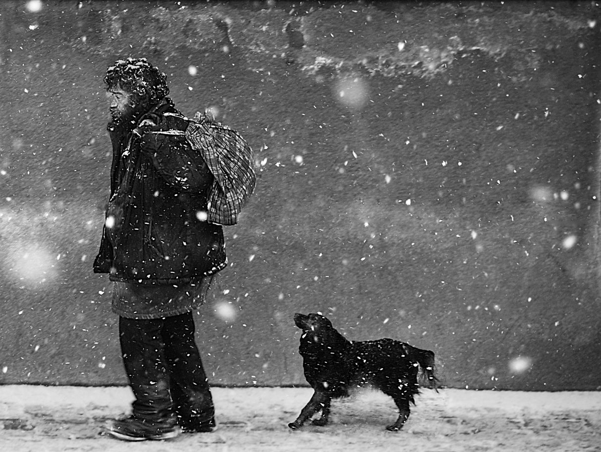 winter passengers. the guide Poster och Canvastavla