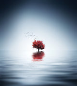 Autumn trees reflected blue lake Poster och Canvastavla