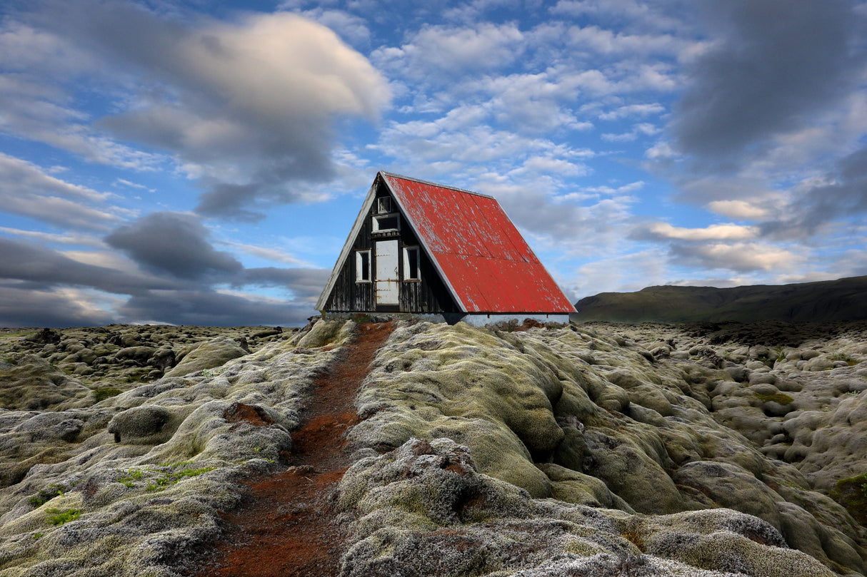 The red path to the red roof Poster och Canvastavla