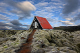 The red path to the red roof Poster och Canvastavla