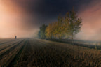Last colors of autumn. Poster och Canvastavla