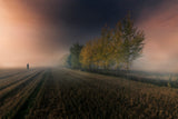 Last colors of autumn. Poster och Canvastavla