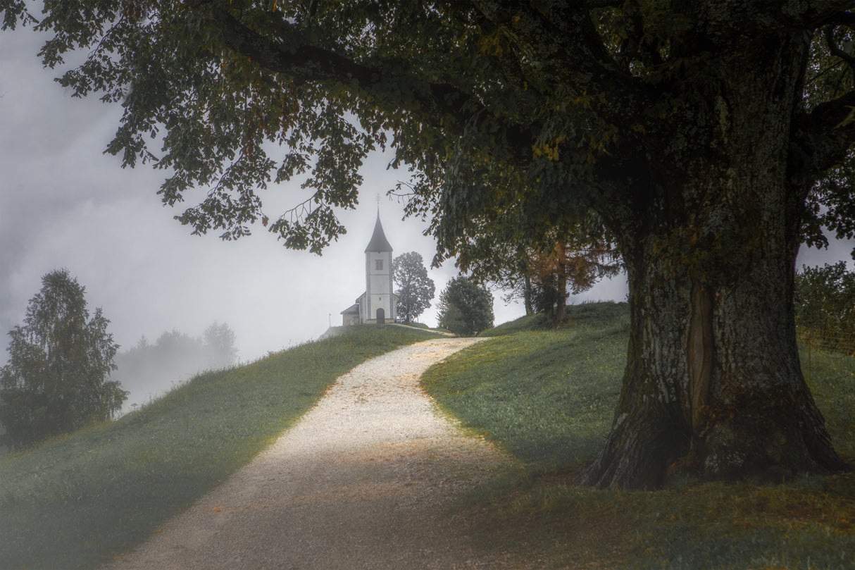 The Church of St. Primoz Slovenia Poster och Canvastavla