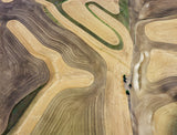 Wheat field Poster och Canvastavla