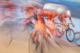 The race Poster och Canvastavla
