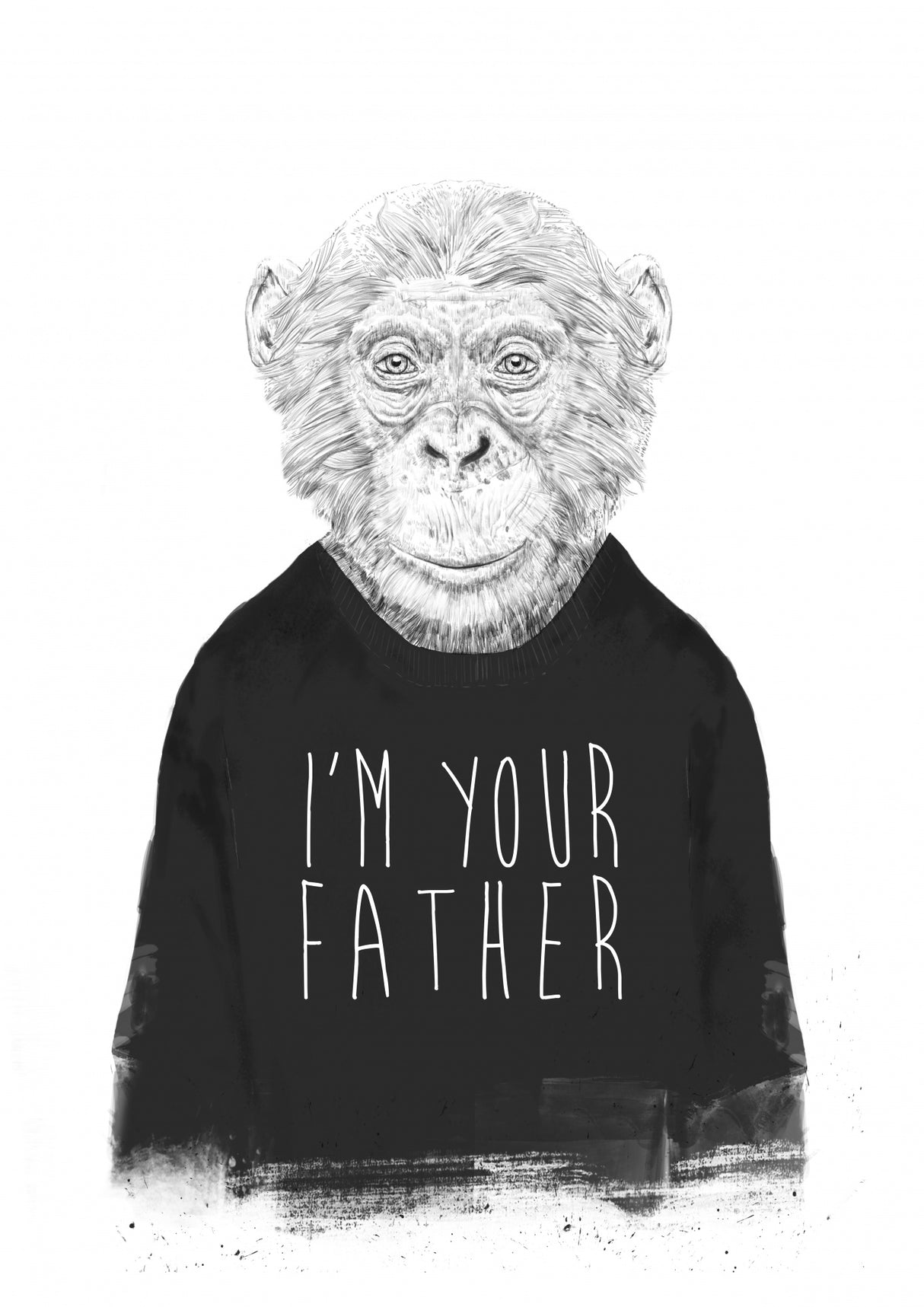 I'm your father Poster och Canvastavla