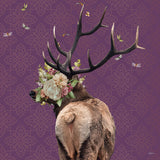 Spring Flower Bonnet On Deer Poster och Canvastavla
