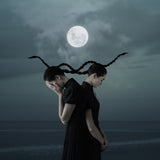 Who Stole The Moon Poster och Canvastavla