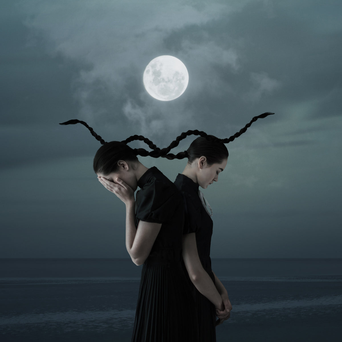 Who Stole The Moon Poster och Canvastavla
