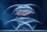 Spirit of dance Poster och Canvastavla