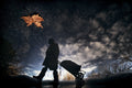 Food reserve for autumn Poster och Canvastavla
