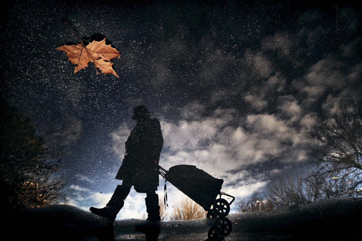 Food reserve for autumn Poster och Canvastavla