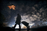 Food reserve for autumn Poster och Canvastavla