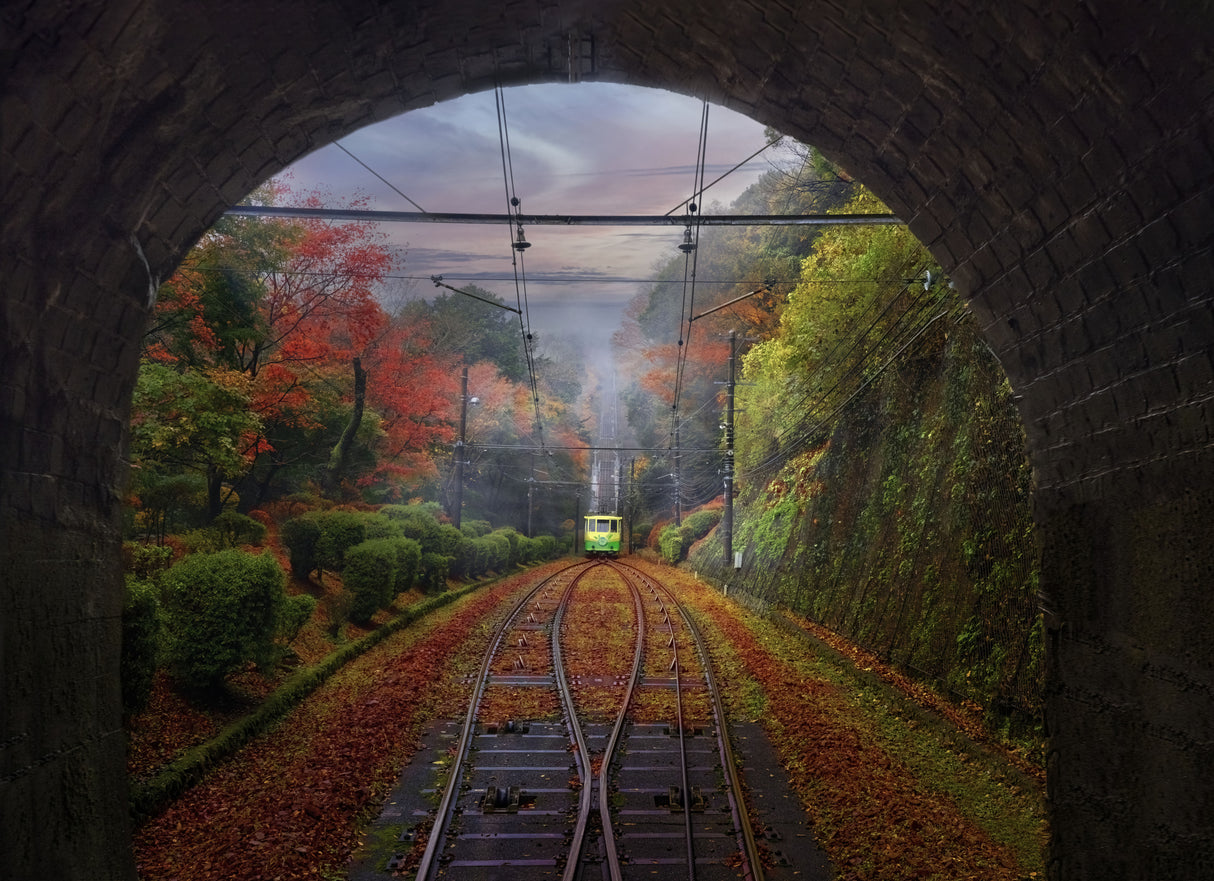 The Train, Japan Poster och Canvastavla