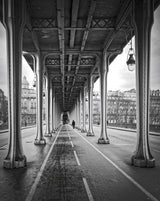 Bir Hakeim bridge Poster och Canvastavla