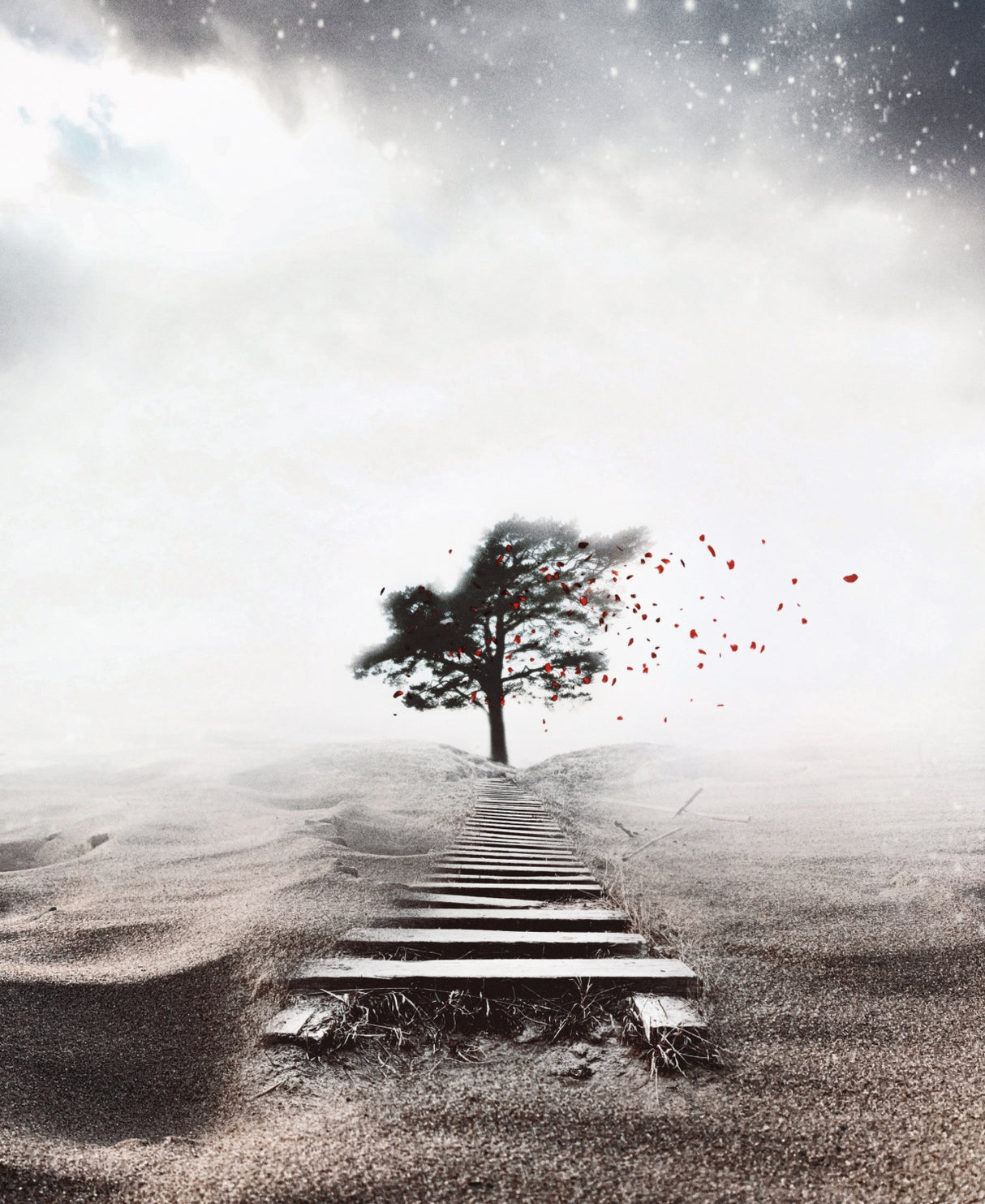 Losing me Poster och Canvastavla
