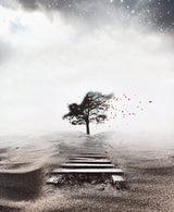 Losing me Poster och Canvastavla