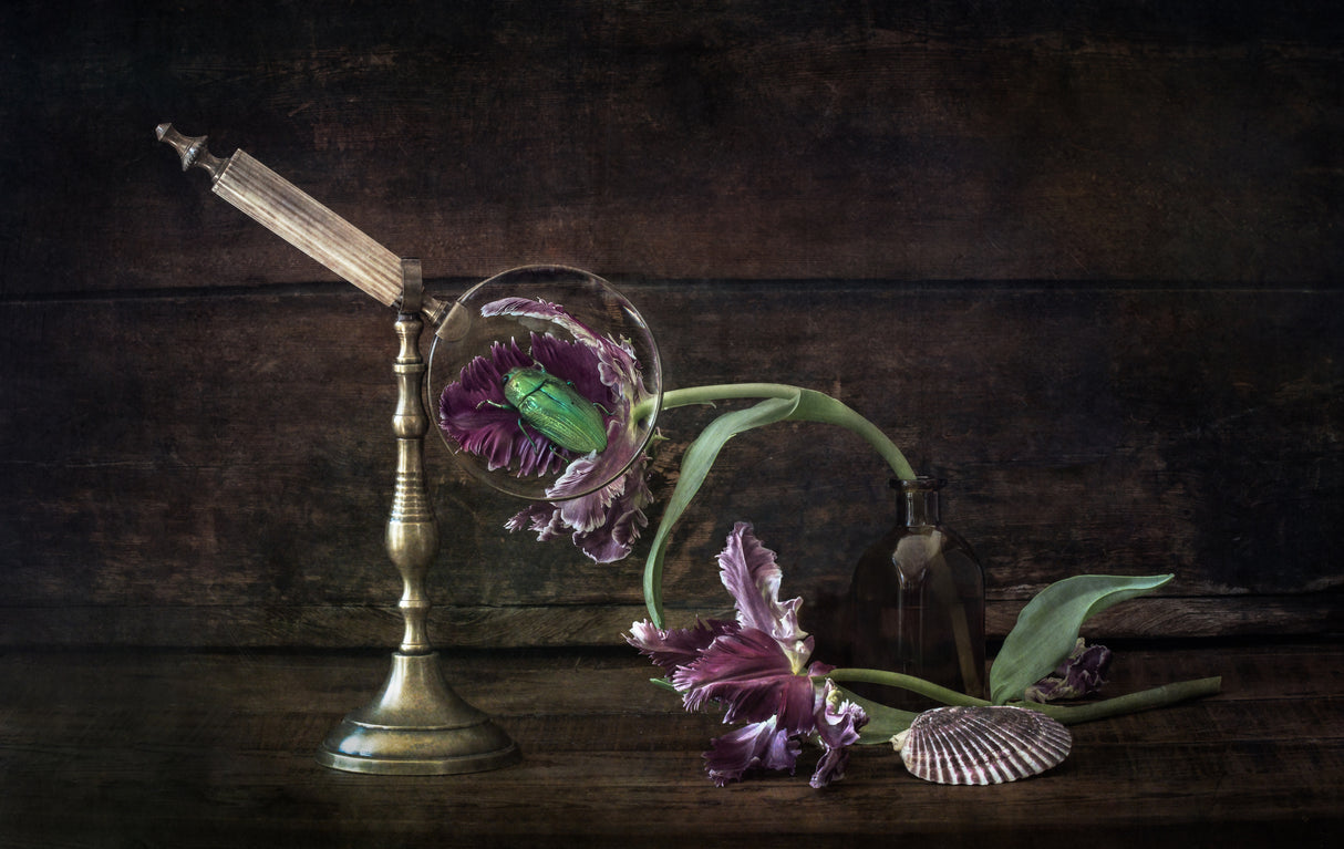 Still Life with Scarab Poster och Canvastavla