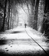 tracks in the snow Poster och Canvastavla