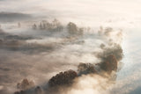 Trees in the fog Poster och Canvastavla