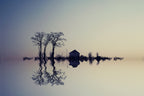 "In The Horizon" Poster och Canvastavla