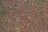 Rust 37 Poster och Canvastavla