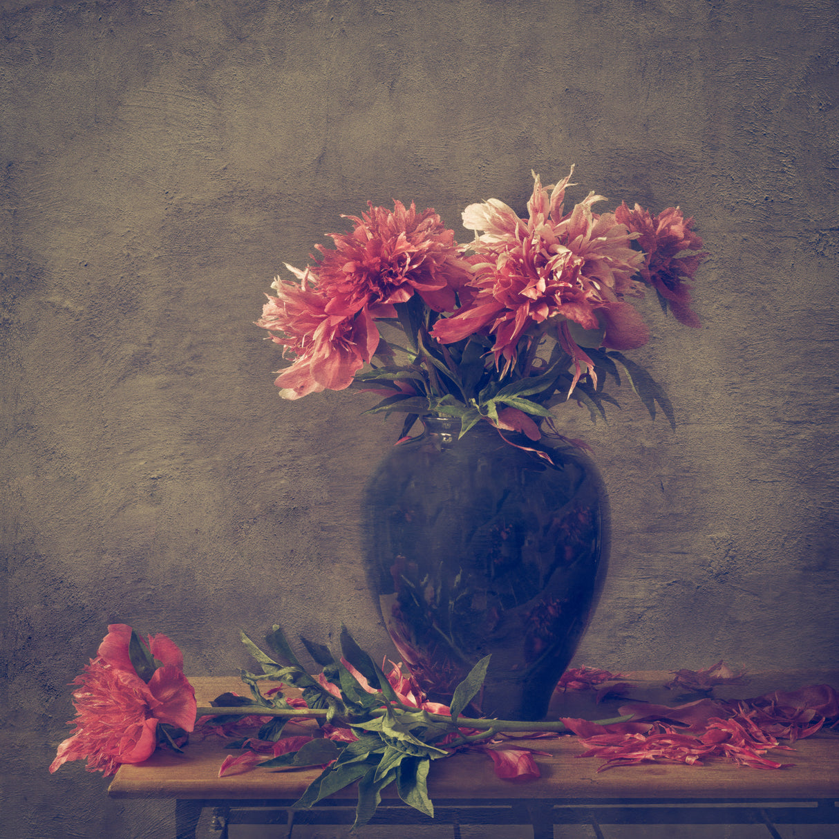 Still life Peony Poster och Canvastavla