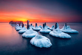 The Ice Guard Poster och Canvastavla