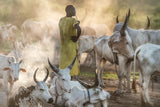 A Dinka herder Poster och Canvastavla