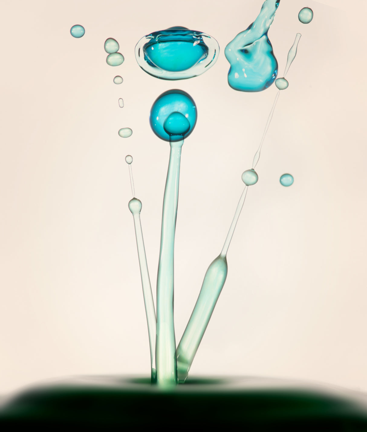 Drops of Life Poster och Canvastavla