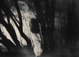 The Ring Poster och Canvastavla