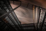Frog's eye view Poster och Canvastavla