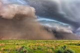 Dust Storm Poster och Canvastavla