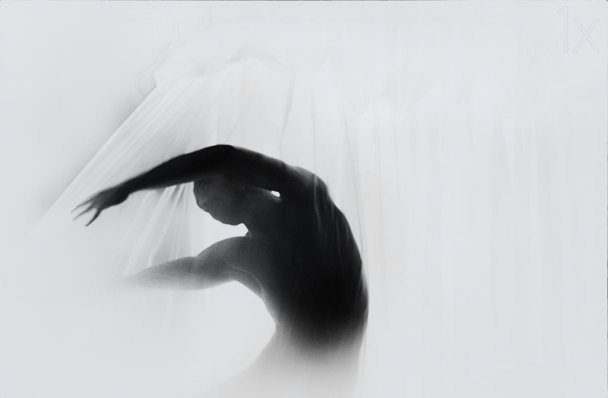 The Dance Of Silence Poster och Canvastavla