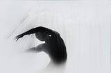 The Dance Of Silence Poster och Canvastavla