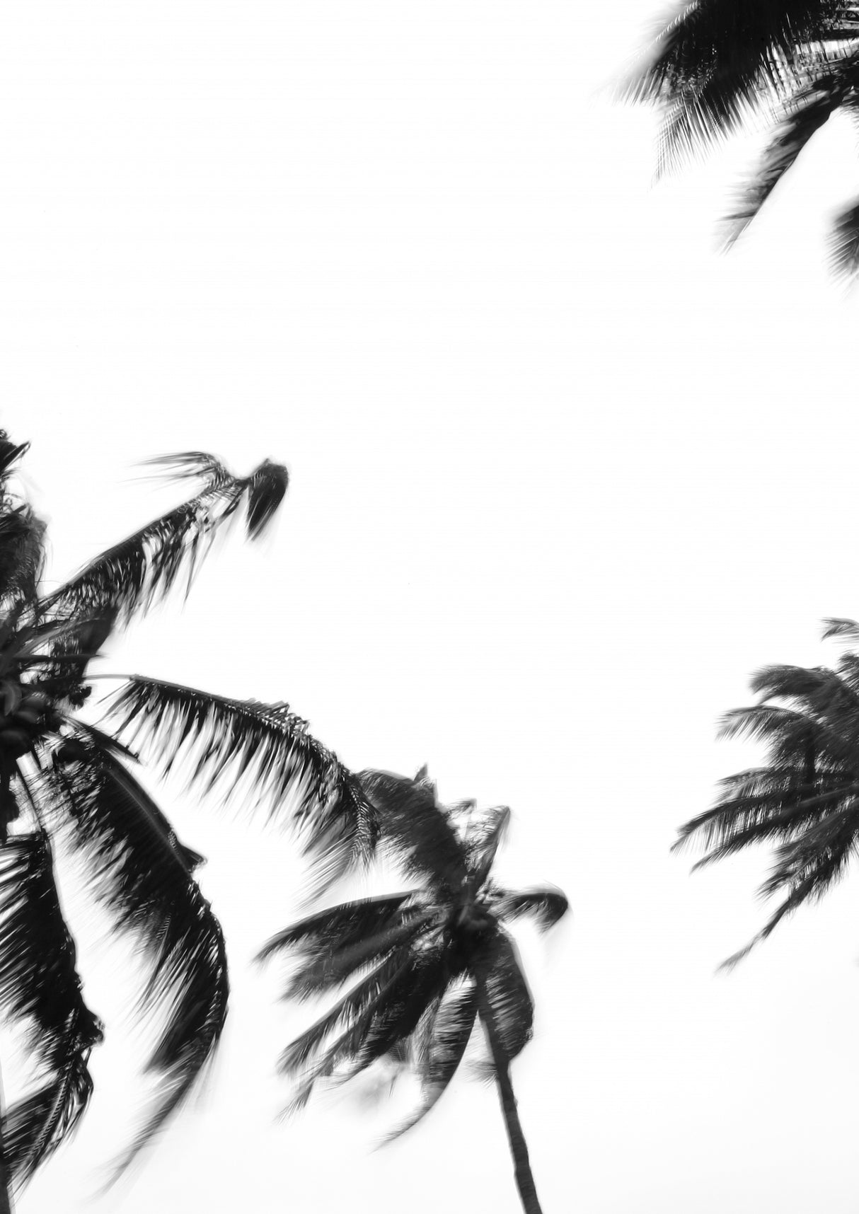 Coco Island No4 Poster och Canvastavla