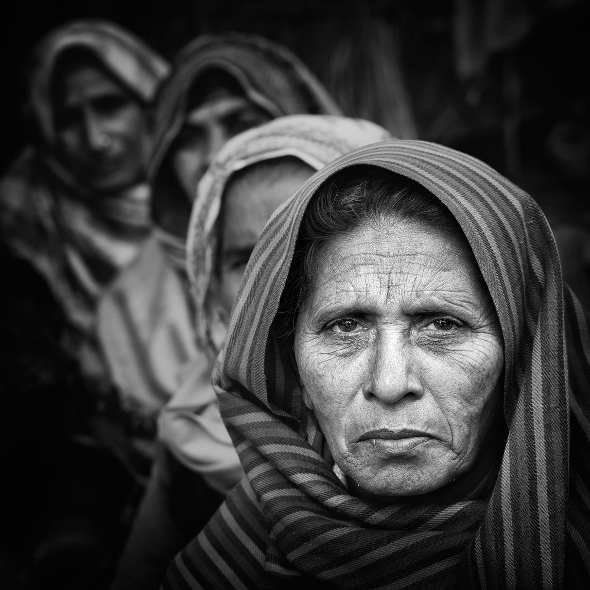 Women in a line Poster och Canvastavla