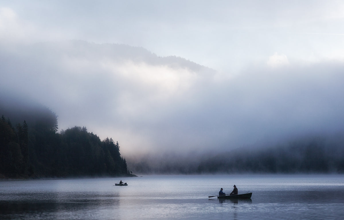 morning mist Poster och Canvastavla