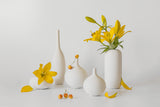 Blooming Lily and Sweet Cherry Poster och Canvastavla