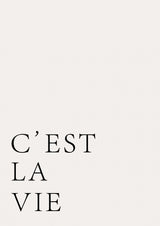 C'est La Vie Poster och Canvastavla