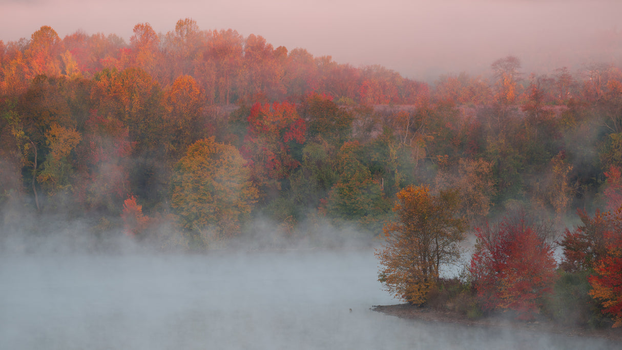 Fall Impression #3 Poster och Canvastavla